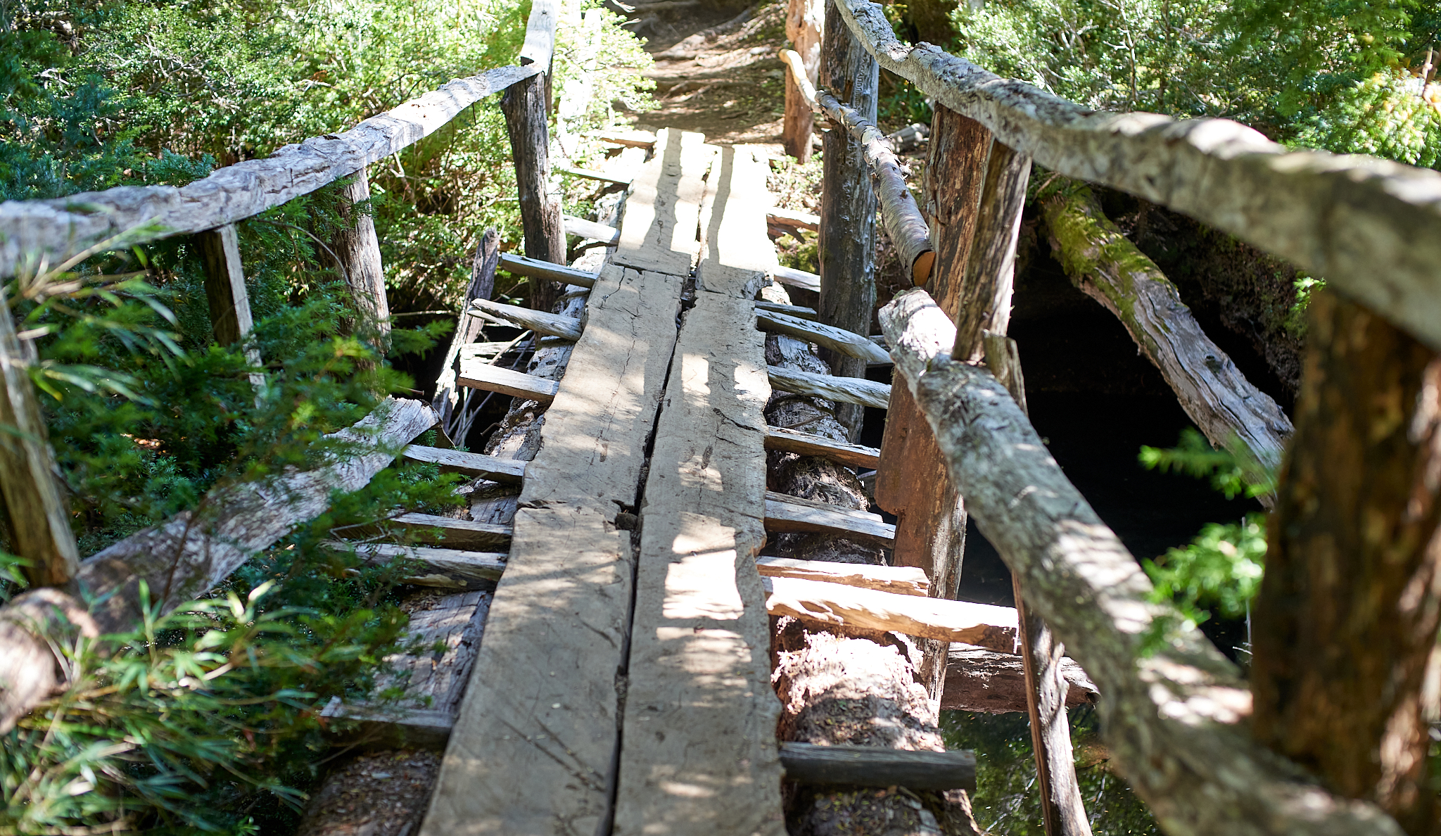 20200317 886 [칠레] 푸콘 우에르케우에 국립공원 트레킹